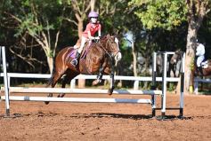 Foto de la galería: Casco Rosado, una nueva alternativa para los amantes de la equitación en Misiones