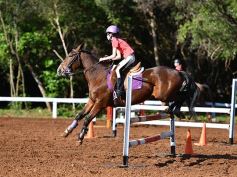Foto de la galería: Casco Rosado, una nueva alternativa para los amantes de la equitación en Misiones
