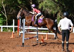 Foto de la galería: Casco Rosado, una nueva alternativa para los amantes de la equitación en Misiones