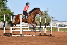 Foto de la galería: Casco Rosado, una nueva alternativa para los amantes de la equitación en Misiones