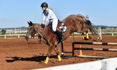 Foto de la galería: Casco Rosado, una nueva alternativa para los amantes de la equitación en Misiones