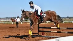 Foto de la galería: Casco Rosado, una nueva alternativa para los amantes de la equitación en Misiones