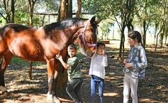 Foto de la galería: Casco Rosado, una nueva alternativa para los amantes de la equitación en Misiones
