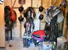 Foto de la galería: Casco Rosado, una nueva alternativa para los amantes de la equitación en Misiones