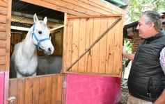 Foto de la galería: Casco Rosado, una nueva alternativa para los amantes de la equitación en Misiones