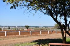 Foto de la galería: Casco Rosado, una nueva alternativa para los amantes de la equitación en Misiones