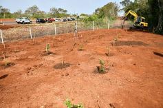 Foto de la galería: Carlos E. Enriquez S.A celebró el Día del Árbol plantando ejemplares en la Reserva Campo San Juan