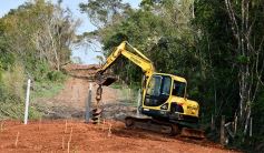 Foto de la galería: Carlos E. Enriquez S.A celebró el Día del Árbol plantando ejemplares en la Reserva Campo San Juan