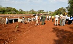 Foto de la galería: Carlos E. Enriquez S.A celebró el Día del Árbol plantando ejemplares en la Reserva Campo San Juan