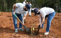 Foto de la galería: Carlos E. Enriquez S.A celebró el Día del Árbol plantando ejemplares en la Reserva Campo San Juan