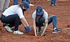 Foto de la galería: Carlos E. Enriquez S.A celebró el Día del Árbol plantando ejemplares en la Reserva Campo San Juan
