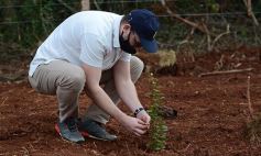 Foto de la galería: Carlos E. Enriquez S.A celebró el Día del Árbol plantando ejemplares en la Reserva Campo San Juan