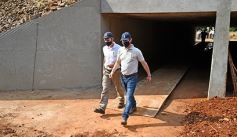 Foto de la galería: Carlos E. Enriquez S.A celebró el Día del Árbol plantando ejemplares en la Reserva Campo San Juan