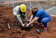 Foto de la galería: Carlos E. Enriquez S.A celebró el Día del Árbol plantando ejemplares en la Reserva Campo San Juan