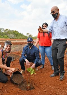 Foto de la galería: Carlos E. Enriquez S.A celebró el Día del Árbol plantando ejemplares en la Reserva Campo San Juan