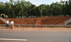 Foto de la galería: Carlos E. Enriquez S.A celebró el Día del Árbol plantando ejemplares en la Reserva Campo San Juan