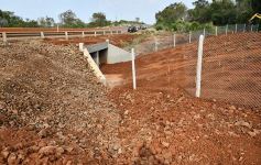 Foto de la galería: Carlos E. Enriquez S.A celebró el Día del Árbol plantando ejemplares en la Reserva Campo San Juan