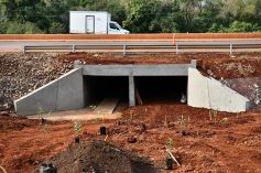 Foto de la galería: Carlos E. Enriquez S.A celebró el Día del Árbol plantando ejemplares en la Reserva Campo San Juan