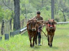 Foto de la galería: Postales de Colonia Aurora y su laboriosa gente