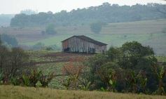 Foto de la galería: Postales de Colonia Aurora y su laboriosa gente