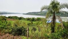 Foto de la galería: Postales de Colonia Aurora y su laboriosa gente