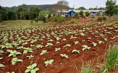 Foto de la galería: Postales de Colonia Aurora y su laboriosa gente