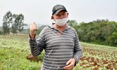 Foto de la galería: Postales de Colonia Aurora y su laboriosa gente