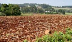 Foto de la galería: Postales de Colonia Aurora y su laboriosa gente