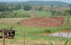 Foto de la galería: Postales de Colonia Aurora y su laboriosa gente