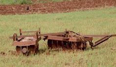 Foto de la galería: Postales de Colonia Aurora y su laboriosa gente