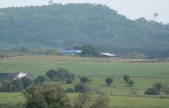 Foto de la galería: Postales de Colonia Aurora y su laboriosa gente