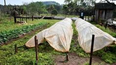 Foto de la galería: Postales de Colonia Aurora y su laboriosa gente