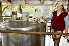 Foto de la galería: Postales de Colonia Aurora y su laboriosa gente