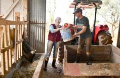 Foto de la galería: Postales de Colonia Aurora y su laboriosa gente
