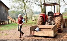 Foto de la galería: Postales de Colonia Aurora y su laboriosa gente