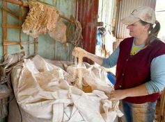 Foto de la galería: Postales de Colonia Aurora y su laboriosa gente