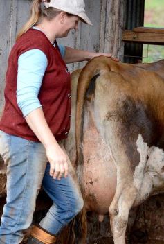 Foto de la galería: Postales de Colonia Aurora y su laboriosa gente