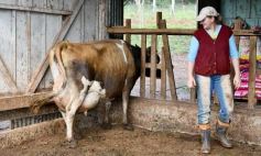 Foto de la galería: Postales de Colonia Aurora y su laboriosa gente