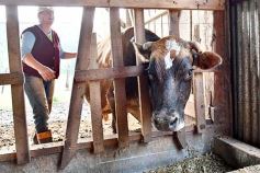 Foto de la galería: Postales de Colonia Aurora y su laboriosa gente