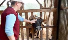 Foto de la galería: Postales de Colonia Aurora y su laboriosa gente