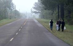 Foto de la galería: Postales de Colonia Aurora y su laboriosa gente