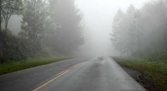 Foto de la galería: Postales de Colonia Aurora y su laboriosa gente