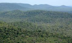 Foto de la galería: Postales de las comunidades mbya del valle del Cuñá Pirú