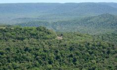 Foto de la galería: Postales de las comunidades mbya del valle del Cuñá Pirú