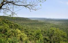 Foto de la galería: Postales de las comunidades mbya del valle del Cuñá Pirú