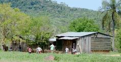 Foto de la galería: Postales de las comunidades mbya del valle del Cuñá Pirú