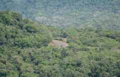 Foto de la galería: Postales de las comunidades mbya del valle del Cuñá Pirú