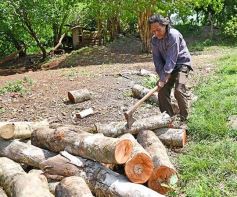Foto de la galería: Postales de las comunidades mbya del valle del Cuñá Pirú