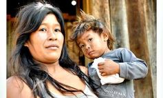 Foto de la galería: Postales de las comunidades mbya del valle del Cuñá Pirú