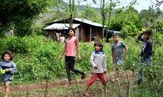 Foto de la galería: Postales de las comunidades mbya del valle del Cuñá Pirú